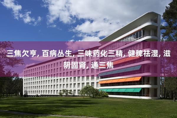 三焦欠亨, 百病丛生, 三味药化三精, 健脾祛湿, 滋阴固肾, 通三焦
