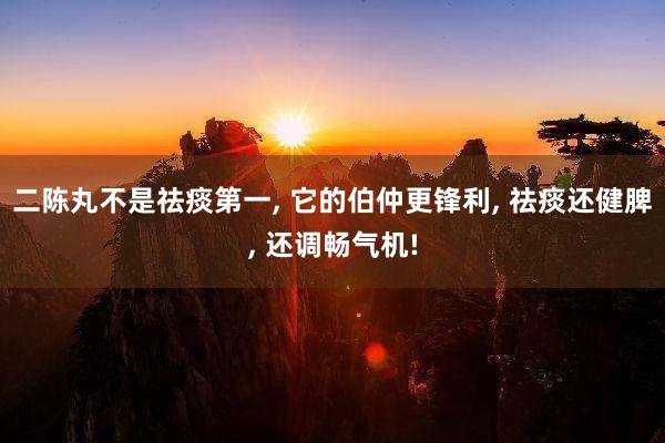 二陈丸不是祛痰第一, 它的伯仲更锋利, 祛痰还健脾, 还调畅气机!