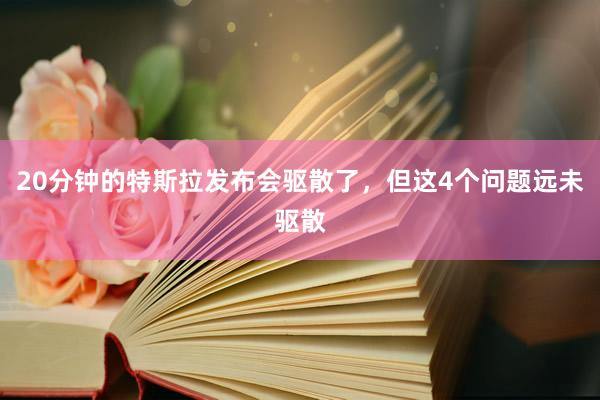 20分钟的特斯拉发布会驱散了，但这4个问题远未驱散