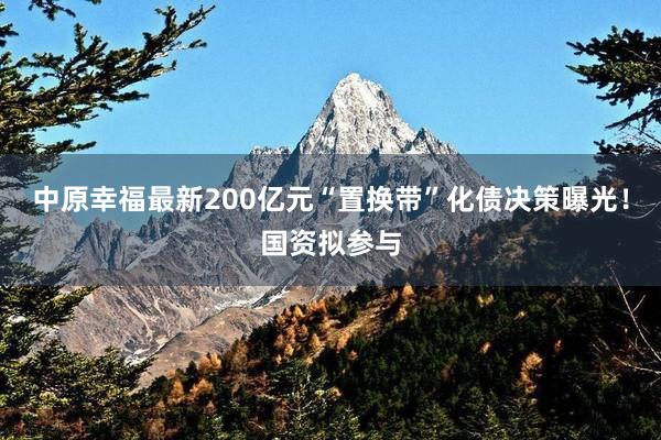 中原幸福最新200亿元“置换带”化债决策曝光！国资拟参与