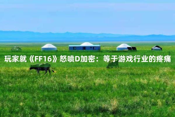 玩家就《FF16》怒喷D加密：等于游戏行业的疼痛