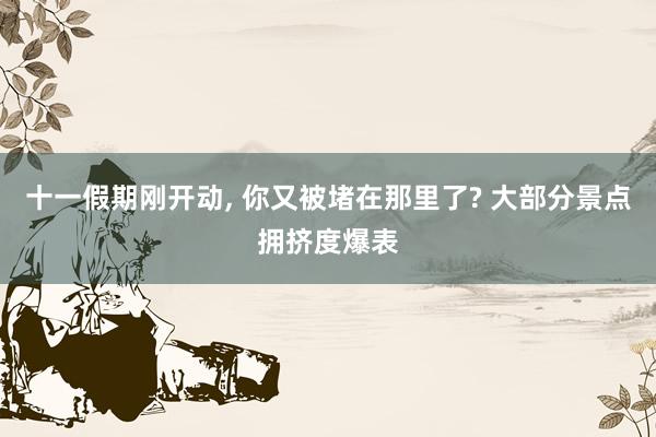 十一假期刚开动, 你又被堵在那里了? 大部分景点拥挤度爆表